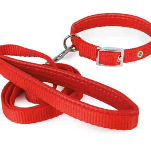 Collar con Correa Soft