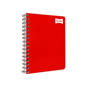 CUADERNO FORMA FRANCESA SCRIBE 1600 ESPIRAL 100 HOJAS