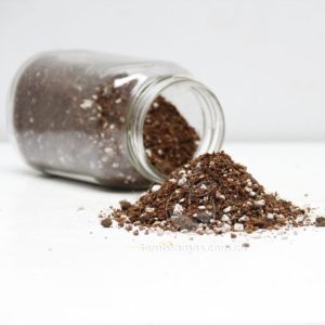 Sustrato para Germinación