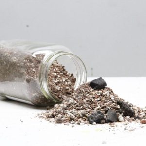 Sustrato para Cactus y Suculentas