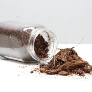 Sustrato para Anturios