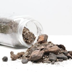 Sustrato para Orquídeas Terrestres