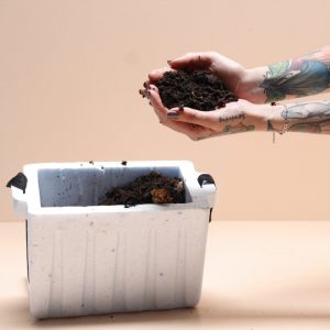 Pie de Cría Lombriz Roja Californiana