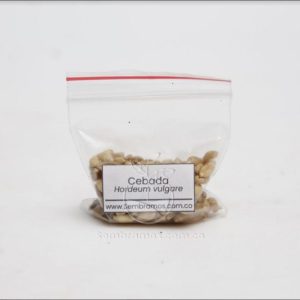Semillas Cebada
