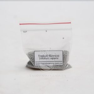 Semillas Trébol Blanco
