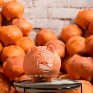 Alcancía Marrano de Barro Tradicional #2