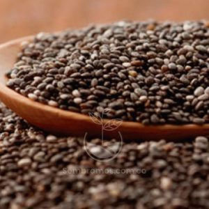 Semilla Chia Orgánica