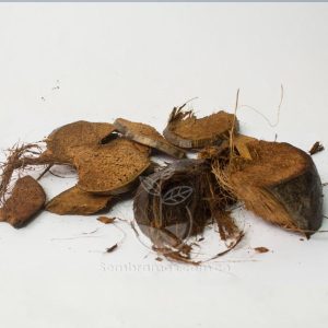 Sustrato Corteza de Coco