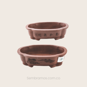 Maceta para Bonsái Equilibrio
