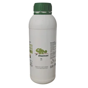 CHAMAE NK 2-4