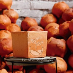 Maceta Barro Cuadrada #1