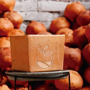 Maceta Barro Cuadrada #2