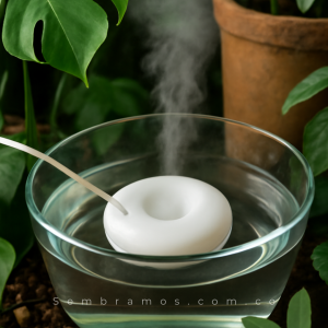 Humidificador para Plantas