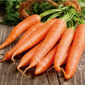Semilla Zanahoria Orgánica